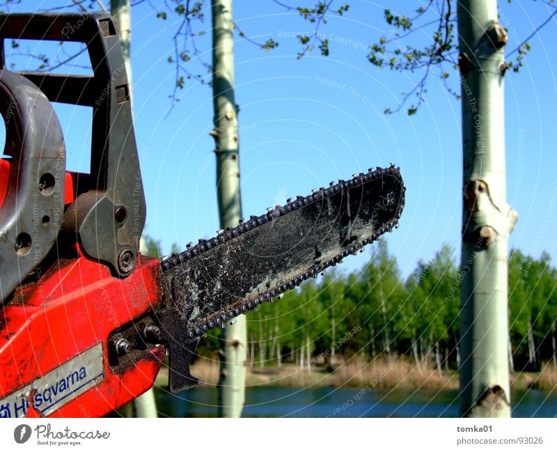 Kettensägen-Massaker Säge Holz rot Kraft gefährlich Abholzung fällen Holzfäller Baum Birke See Wald Maschine Werkzeug Außenaufnahme Brandenburg Gewässer Mann