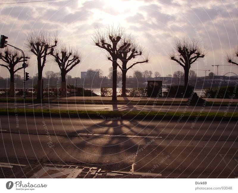 durchbruch Köln Wolken Baum Licht Einsamkeit Himmel Sonne Schatten Kontrast Straße