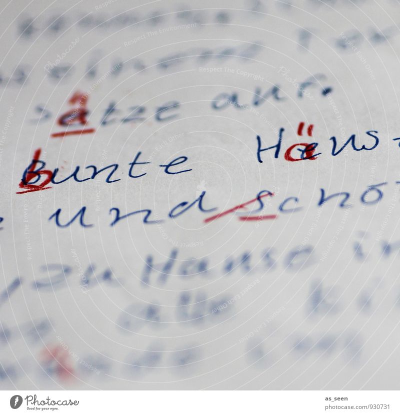 PISA Kindererziehung Bildung Schule lernen Schulkind Prüfung & Examen Rechtschreibung Lehrer Kindheit Leben 3-8 Jahre 8-13 Jahre Schreibwaren Papier Zettel