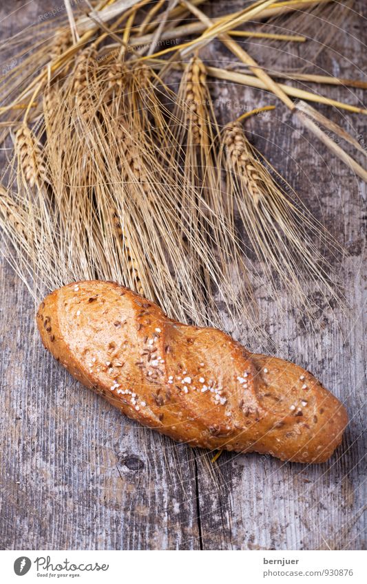 Brötchen Lebensmittel Teigwaren Backwaren Billig gut braun Ähren Getreide Hafer Gerste Weizen Salz rustikal Holzbrett Kümmel Semmel Menschenleer einfach