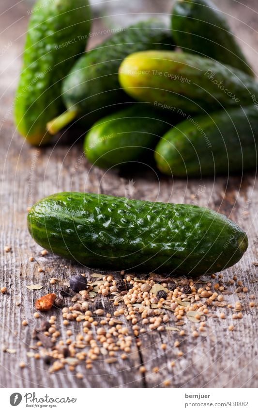 Sauregurkenzeit Lebensmittel Gemüse Billig gut Gurke Gewürzgurke einmachen konservieren Senfkörner Wacholderbeere Kräuter & Gewürze rustikal roh Foodfotografie