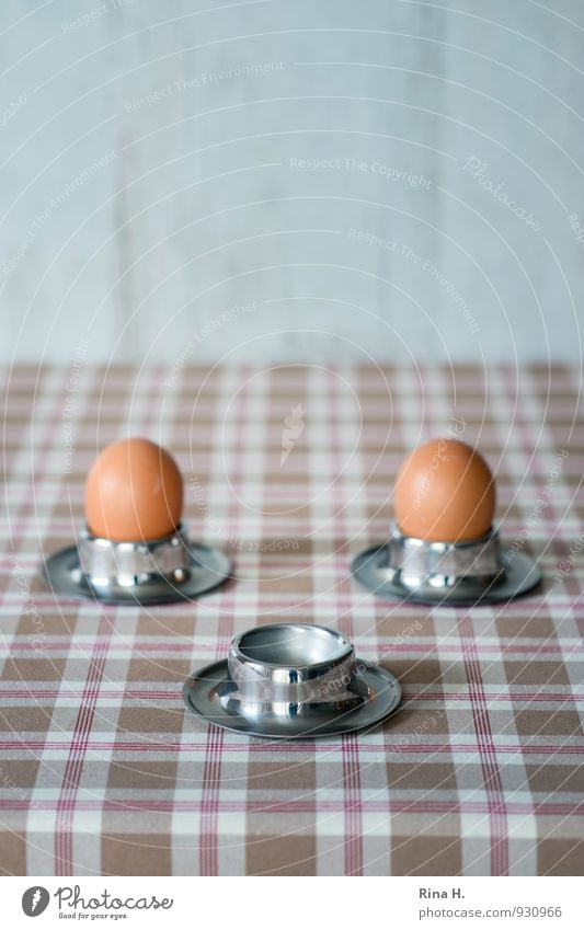 Flügge Ei Ernährung Frühstück Bioprodukte Vegetarische Ernährung hell Gefühle Zusammensein Beginn Ende Leben flügge Eierbecher Farbfoto Gedeckte Farben