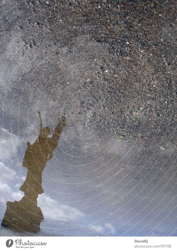 Engel Statue Sockel Pfütze Reflexion & Spiegelung streben aufsteigen unten historisch Wahrzeichen Denkmal Flügel Stein Himmel Erde Wasser Pfützenbild oben