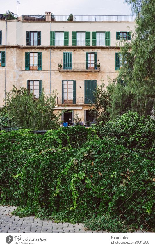 Mehrfamilienhaus Reichtum Ferien & Urlaub & Reisen Häusliches Leben Wohnung Haus Sommer Schönes Wetter Pflanze Baum Blatt Grünpflanze Balkonpflanze