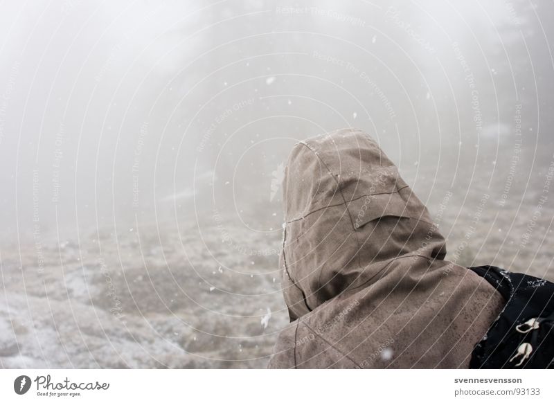 No Gorillas In The Mist Nebel Kapuze Winter kalt Hügel trüb Gesteinsformationen Südtirol Ortler ruhig Abenteuer Himmel Spielen Rücken rückwärts Schnee Mensch