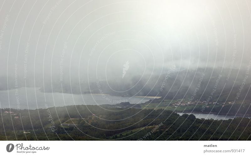 Land unter Umwelt Landschaft Pflanze Wasser Himmel Wolken Sommer Klima Wetter schlechtes Wetter Nebel Baum Wiese Wald Hügel Küste Strand Bucht Meer braun grün