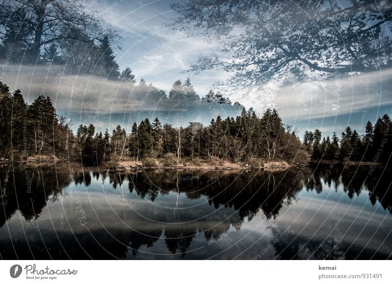 Down by the lake Freiheit Natur Landschaft Pflanze Wasser Himmel Wolken Herbst Schönes Wetter Baum Sträucher Wildpflanze Wald Seeufer ruhig Einsamkeit