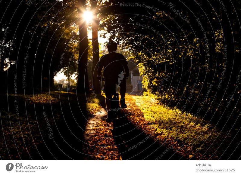 Fahrradtour im Herbst harmonisch Freizeit & Hobby Ausflug Sonne Fahrradfahren Natur Landschaft Baum Blatt Wald dunkel gelb grün Idylle erleuchten Belaubung