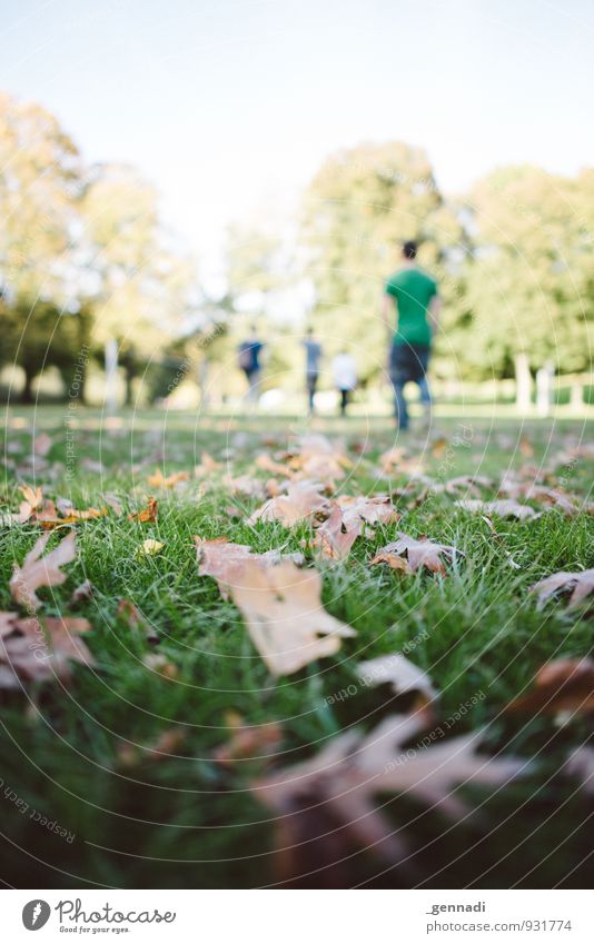 Herbst kommt Menschengruppe Gras Warmherzigkeit herbstlich Herbstlaub Blatt gehen Bodenbelag Wiese Grasnarbe zurücklassen Wege & Pfade Farbfoto Außenaufnahme