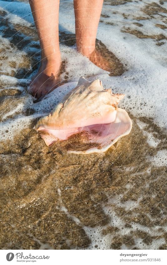 Frauen treten am Strand auf. Rosa String exotisch Erholung Ferien & Urlaub & Reisen Tourismus Sommer Sonne Meer Wellen Natur Landschaft Sand Himmel Küste blau