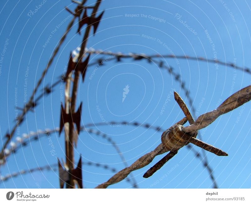 keep out Stacheldraht Zaun Sicherheit Barriere stoppen Eisen Draht stachelig gefährlich Festung sicherheitsvorkehrung kein zutritt abzäunung Rost