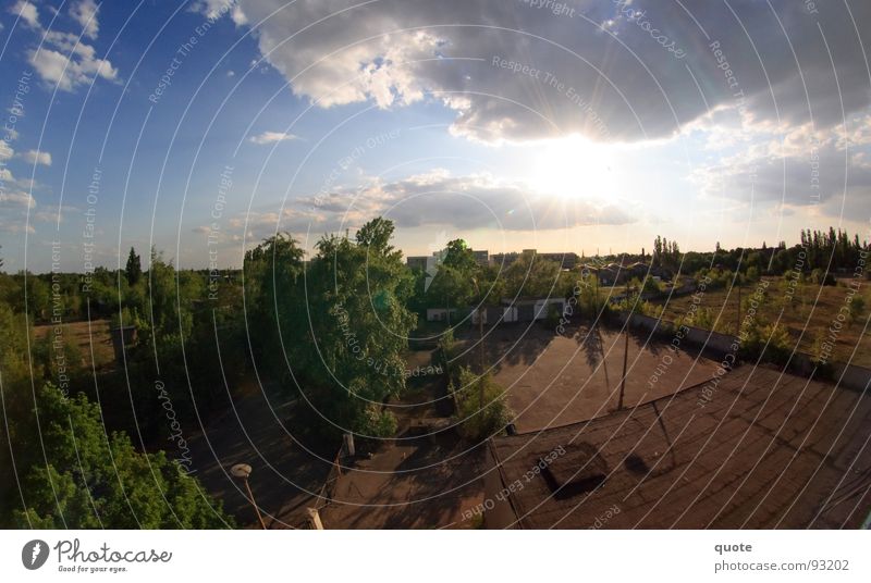 50/50 Fischauge Panorama (Aussicht) Deutschland heiß trocken weiß Luft Himmel Gegenlicht Wolken grau Baum Brachland Wald trist Natur Mai grün braun Hälfte