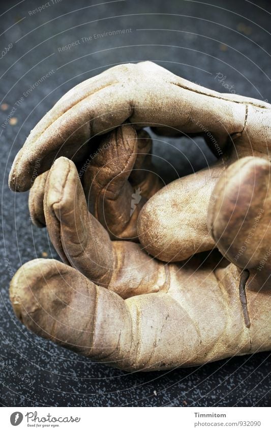 Let`s Work Together Arbeit & Erwerbstätigkeit Handschuhe Arbeitshandschuhe Gartentisch Glasscheibe Leder einfach Gefühle dreckig Abnutzung bewegungslos