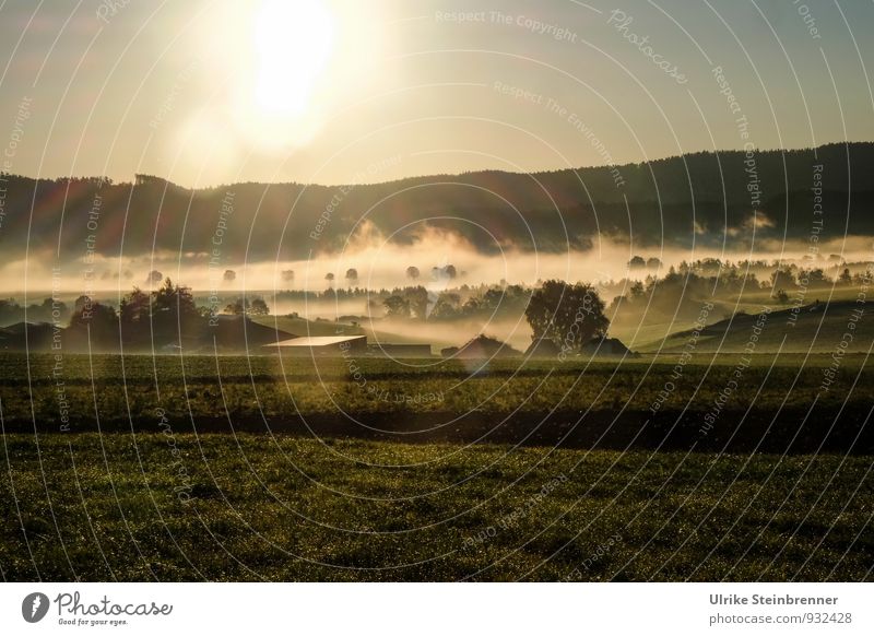 Nebelwallen 1 Umwelt Natur Landschaft Pflanze Luft Wasser Wolkenloser Himmel Herbst Wetter Schönes Wetter Baum Gras Sträucher Feld Wald Hügel Gebäude Bauernhof