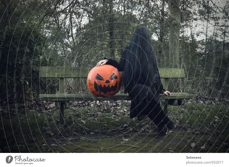 Beste Freunde Kürbis Karneval Halloween Mensch 1 Umwelt Natur Herbst Winter Pflanze Baum Garten Park Wiese Feld Haare & Frisuren schwarzhaarig langhaarig