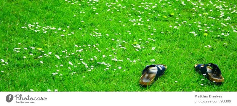 PANTOFFELN Wiese Hausschuhe Schuhe Gänseblümchen Ferien & Urlaub & Reisen Erholung grün träumen faulenzen Freizeit & Hobby Freundschaft Sommer Garten Freude