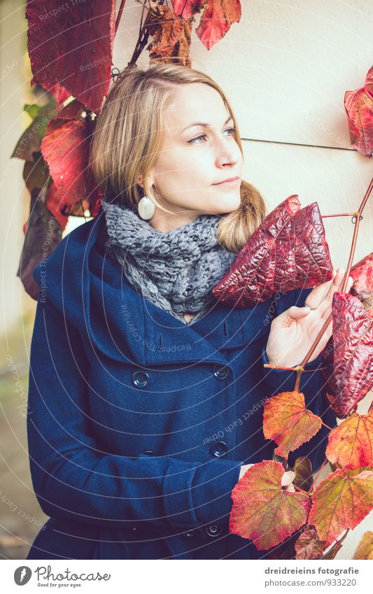 Herbstnachmittag feminin Junge Frau Erwachsene Jacke berühren Denken warten ästhetisch Freundlichkeit natürlich schön blau mehrfarbig rot Zufriedenheit