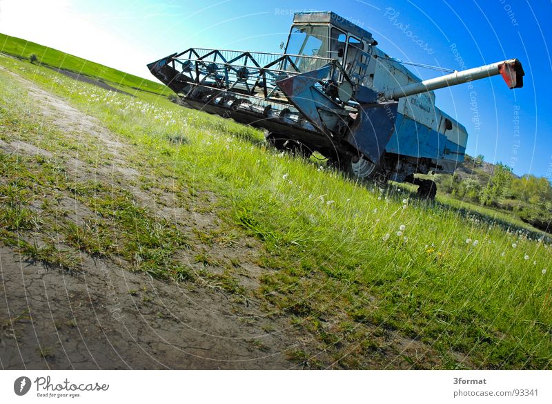 drescher04 Ähren Mähdrescher Maschine Landleben Feld Weizen Landwirtschaft Dorf Osten Sachsen-Anhalt Arbeit & Erwerbstätigkeit Mehl grün Pflanze Löwenzahn Wiese