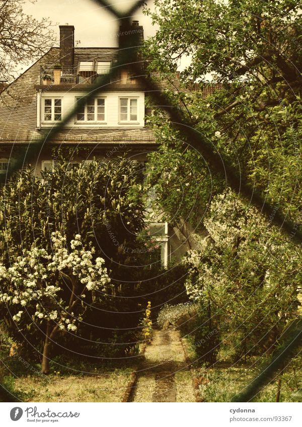 Der verbotene Garten Haus Anwesen Wohlgefühl gepflegt Kultur Erholung Zaun geheimnisvoll Einblick Baum Wiese Lebensraum schön zeitlos klassisch Freizeit & Hobby