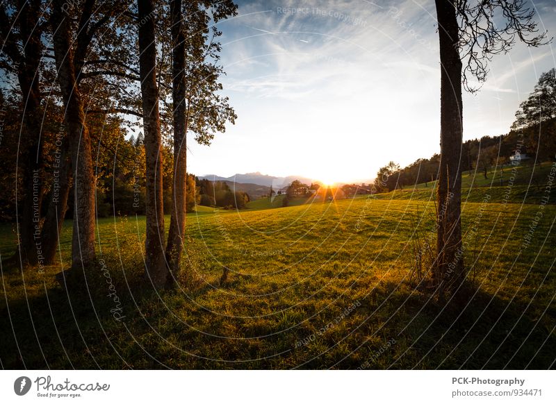 Before sunset Umwelt Natur Landschaft Himmel Sonne Sonnenaufgang Sonnenuntergang Sonnenlicht Herbst Park Wiese Feld Stimmung Sonnenstrahlen Lichtstimmung