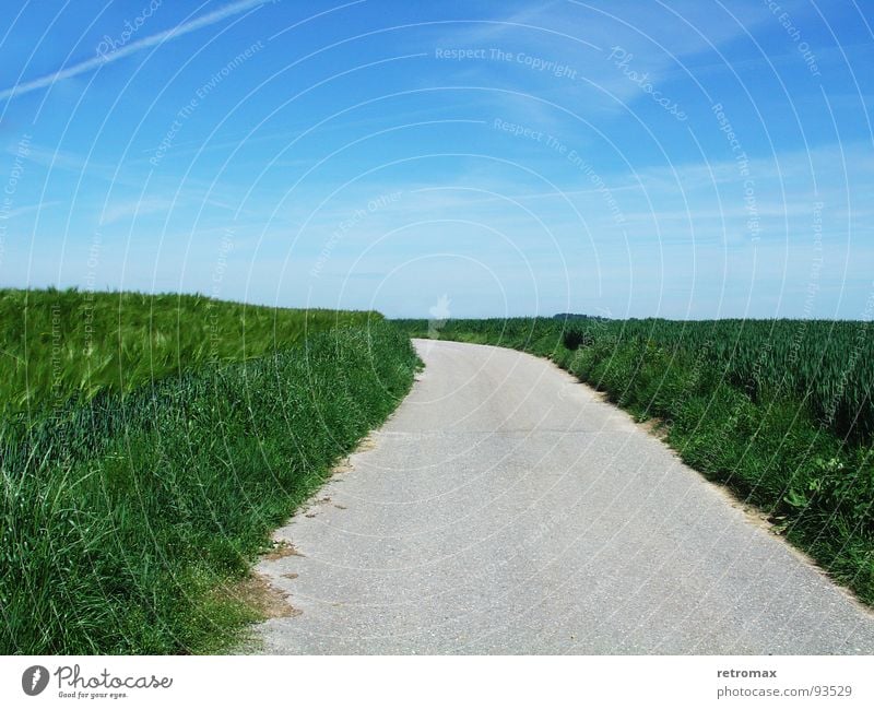 jetzt gehts nach links Feld grün saftig Gerste Asphalt Erholung Fernweh Außenaufnahme Frühling Wiese Fußweg Idylle Horizont Hügel Wegrand abbiegen ruhig