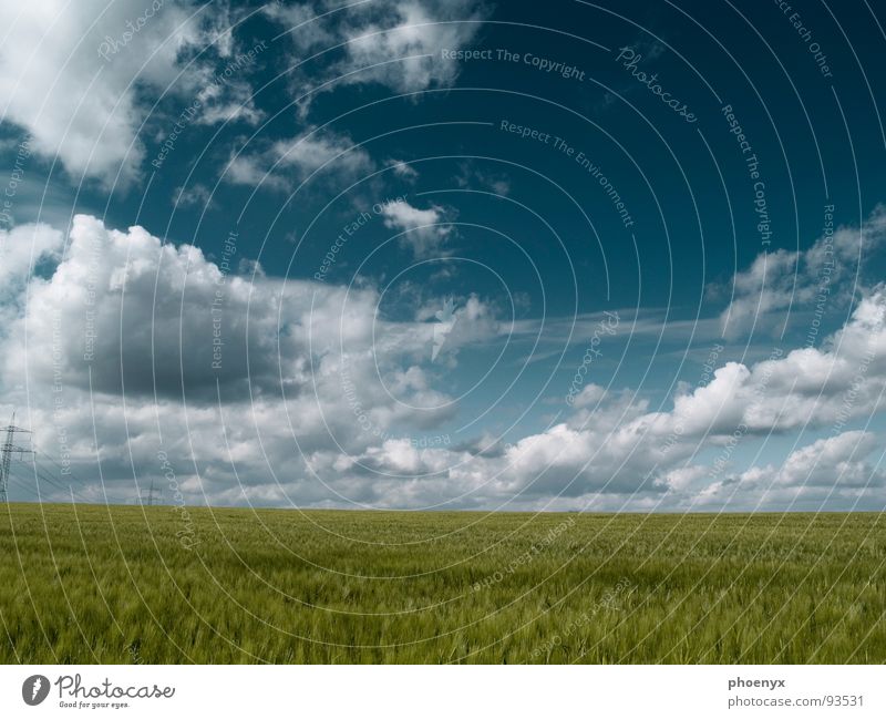 Phase grün türkis Wiese Feld Gras Wolken Wolkenhimmel mehrere Verlauf weich Landschaft Frühling Himmel viele Ferne Freiheit Natur Wohlgefühl baumlos Schatten