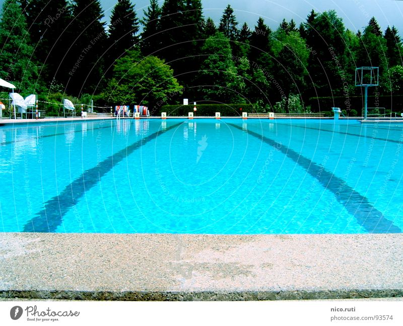 Die Ruhe nach dem Sturm Schwimmbad Baum Sportveranstaltung Wald grün grau Flüssigkeit Oberflächenspannung krumm Wölbung Steinplatten durchsichtig Spielen