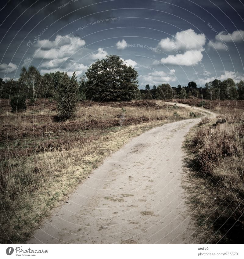 Trockene Gegend Ferien & Urlaub & Reisen Ausflug Ferne Freiheit Umwelt Natur Landschaft Pflanze Himmel Wolken Horizont Herbst Schönes Wetter Baum Sträucher