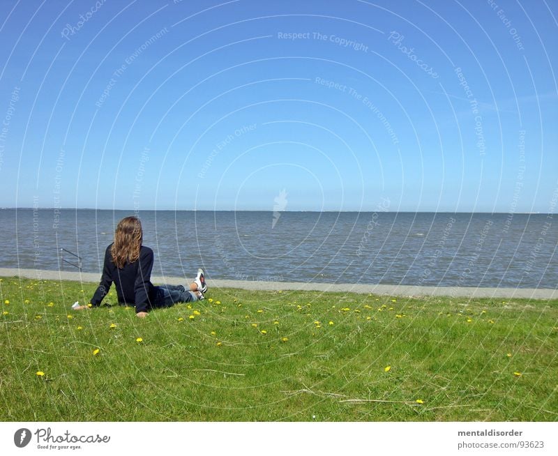 sehnsucht Meer Erholung Sehnsucht Gras grün Frau Suche finden Horizont Ferne Freizeit & Hobby Gefühle starnd Wasser Sand Rasen blau sitzen Blick