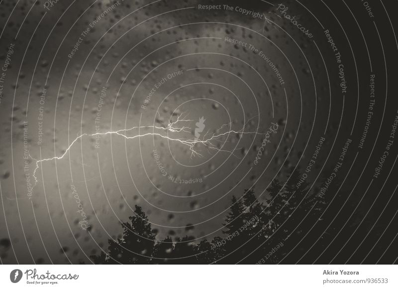 Donnerwetter II Natur Himmel Wolken Gewitterwolken Wetter schlechtes Wetter Unwetter Regen Blitze Baum leuchten bedrohlich dunkel natürlich Schmerz gefährlich