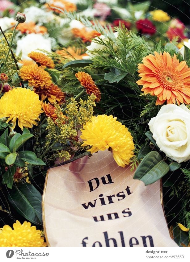 Abschied Grab Friedhof Blume verlieren verloren Trauer Götter Verzweiflung Tod Freude ewiges Leben Gott gerettet grave graveyard flowers die dead death lost