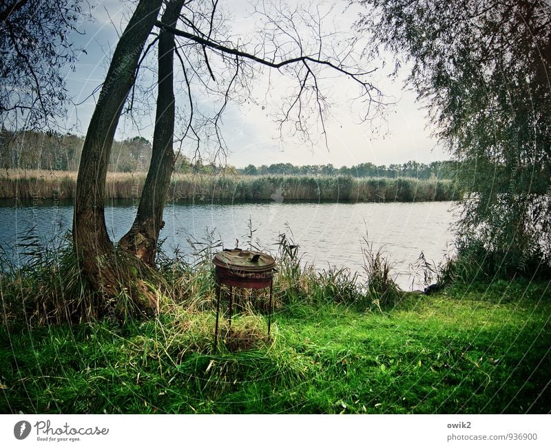 Müllkonzept Umwelt Natur Landschaft Pflanze Himmel Wolken Horizont Klima Wetter Schönes Wetter Baum Gras Sträucher Wildpflanze Seeufer Verantwortung achtsam