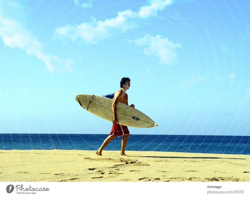 Surfer Horizont Strand Meer Hawaii Surfen Surfbrett Extremsport Himmel