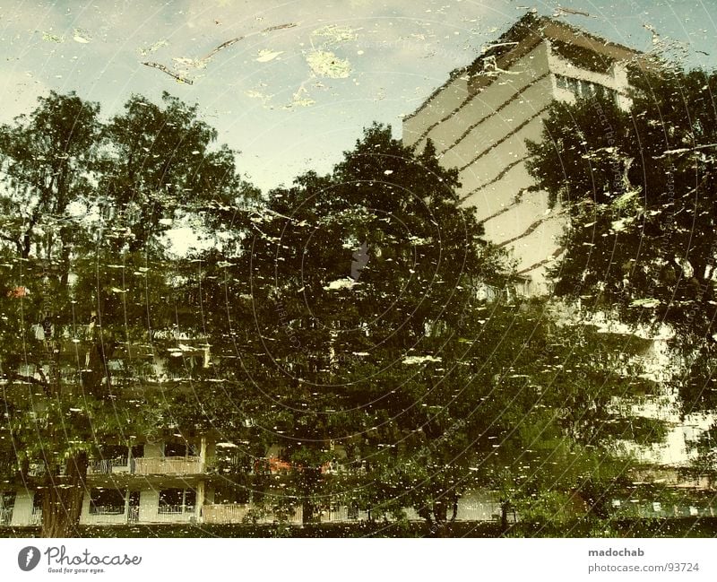 UNFORGETTABLE Vergänglichkeit temporär nass Flüssigkeit Reflexion & Spiegelung Haus Hochhaus Baum Natur Stadt Gebäude Fassade Gemälde Utrecht Frieden