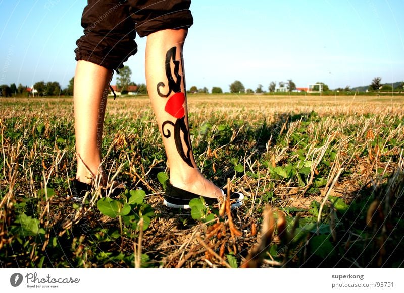 Heart Schuhe Feld Spielen Entwicklung Frau Beine legs Fuß Himmel Vertrauen Freude Leben