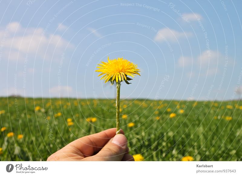 Löwember Ernährung Bioprodukte Lifestyle Glück Gesundheit Gesundheitswesen Alternativmedizin Allergie Freizeit & Hobby Kinderspiel Freiheit Sommer wandern