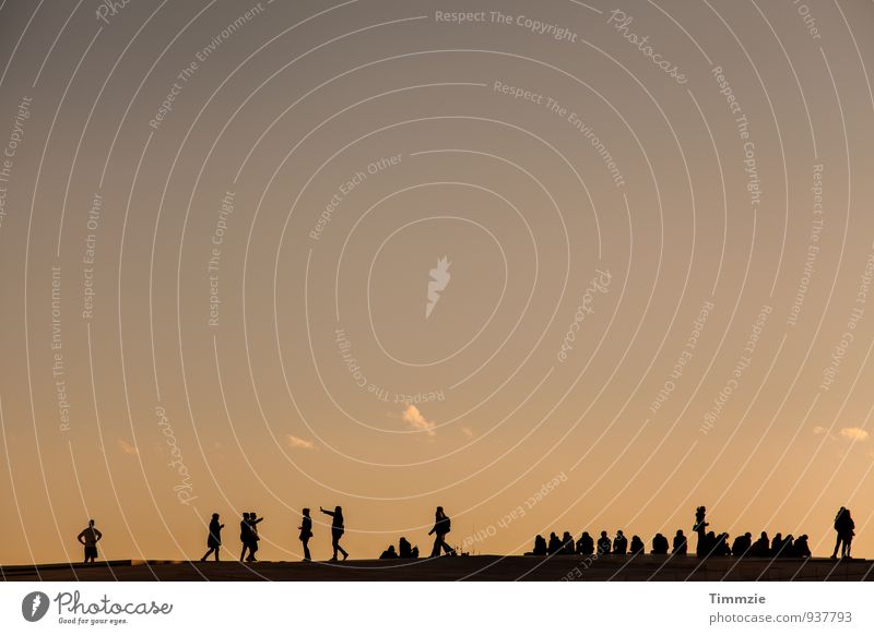 Oslo people Sonne Menschengruppe Menschenmenge Stadtzentrum Terrasse Dach Sehenswürdigkeit Wahrzeichen Glück Sympathie Freundschaft Zusammensein Freiheit