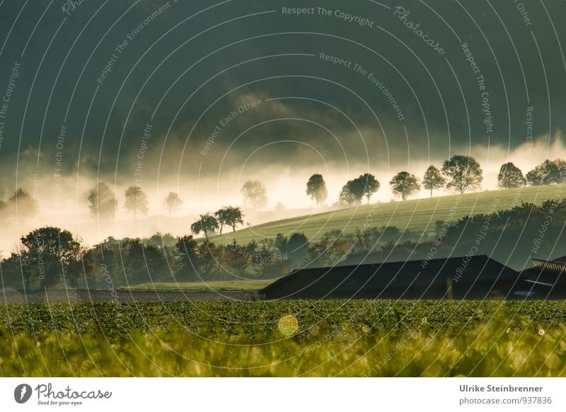 Nebelwallen 4 Umwelt Natur Landschaft Pflanze Luft Wasser Herbst Baum Gras Sträucher Nutzpflanze Feld Wald Haus Bauernhof Landwirtschaft leuchten natürlich grün