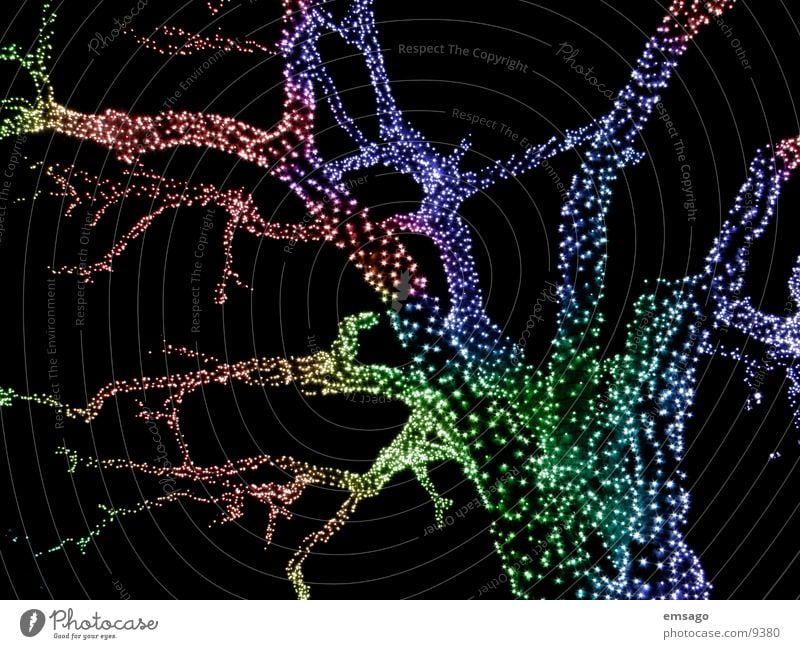 Weihnachtslicht Licht Baum Lichterkette Nacht Weihnachten & Advent