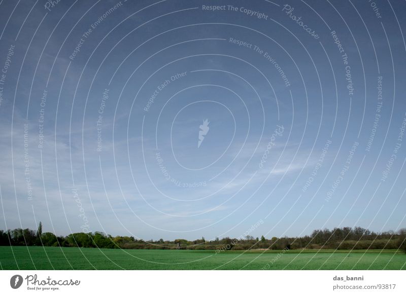 bis zum horizont und zurück² Wolkenformation beruhigend Horizont Baum Wald Feld Ferne gelb grün träumen Erholung Verlauf Sommer Ferien & Urlaub & Reisen