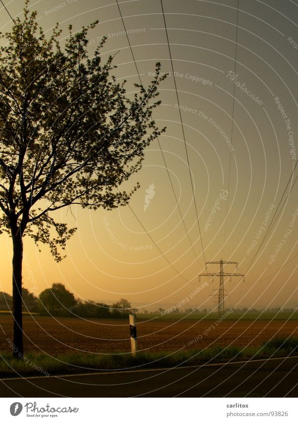 Spannend .. Morgennebel Nebel Feld Elektrizität Strommast Dunst Wolken Farblosigkeit Licht Gras Nebelschleier Hoffnung Tatendrang Schleier Sonnenaufgang grün