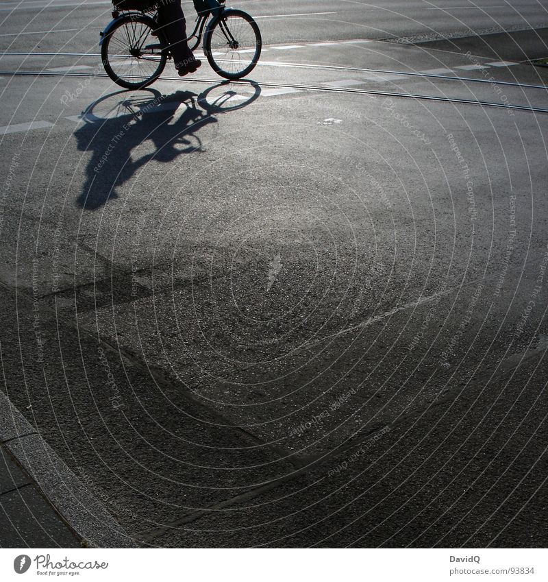 18:05 Asphalt Fahrradweg Gleise Sonne weiß grau schwarz heimwärts Feierabend Verkehrswege Schwarzweißfoto Straße Wege & Pfade Schatten pseudo-schwarzweiß