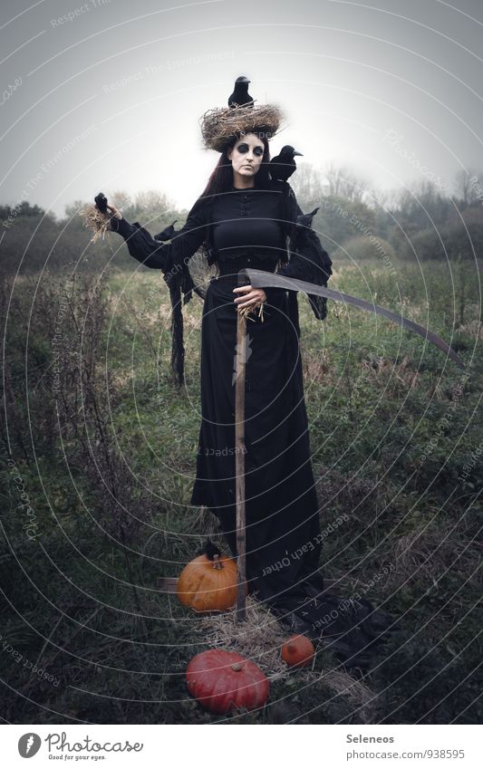 Hallo Halloween Karneval Mensch Frau Erwachsene 1 Herbst Feld Sense Sensenmann Nistkasten gruselig Tod Kürbis Kürbiszeit Rabenvögel Stroh Karnevalskostüm