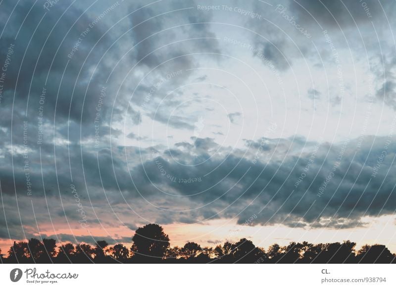 himmel Umwelt Natur Landschaft Urelemente Himmel Wolken Sonnenaufgang Sonnenuntergang Wetter Schönes Wetter Baum Farbfoto Außenaufnahme Menschenleer