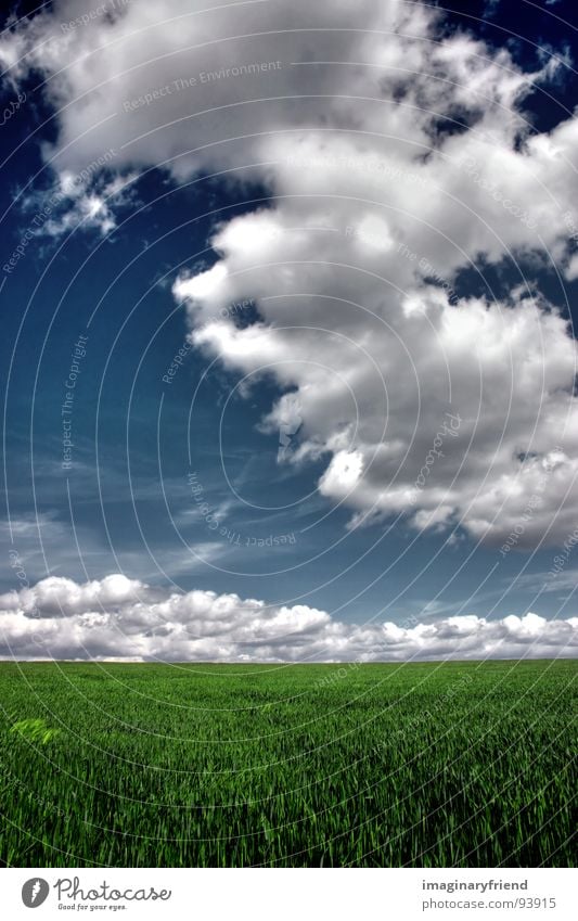 and i love this place... Wolken Länder Gras Wiese Feld Frühling Sommer grün Himmel lanschaft country sky clouds field Korn