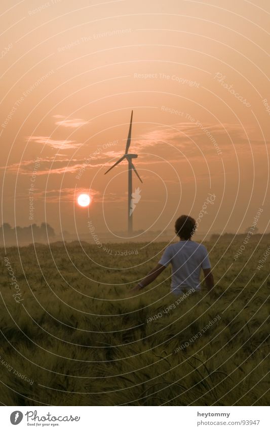 Sunrise, sunrise.. Sonnenaufgang Feld Mühle Einsamkeit Denken Stimmung Weizen Gefühle authentisch gehen Spaziergang Sommer Frühling Herbst Jahr Jahreszeiten