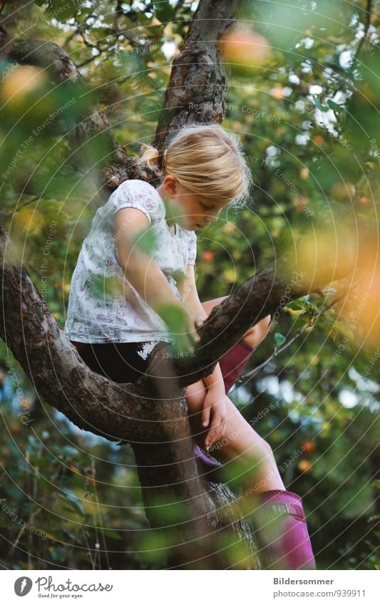 Wenn doch endlich wieder Sommer wär' Freizeit & Hobby Garten Mensch feminin Mädchen Kindheit 1 8-13 Jahre Natur Baum Apfelbaum blond Denken Erholung sitzen