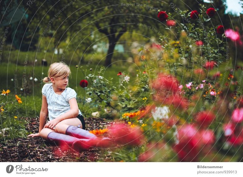 . Freizeit & Hobby Sommer Garten Mensch feminin Kind Mädchen Kindheit 1 8-13 Jahre Natur Landschaft Blume Gras Dahlien Wiese Blühend Erholung genießen sitzen