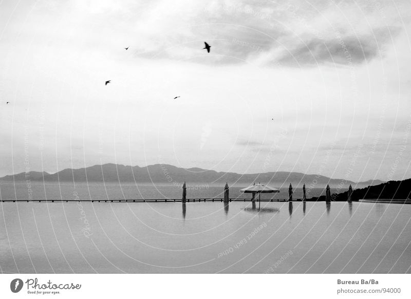 *träum* Ferien & Urlaub & Reisen Meer Vogel Schwimmbad schwarz weiß Sonnenschirm Wolken dunkel Wasser Insel Himmel