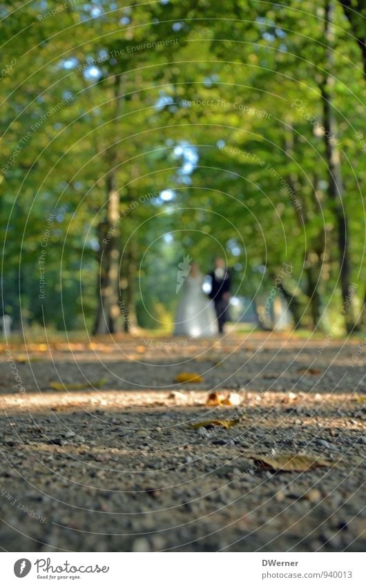 Brautpaar Lifestyle Hochzeit Mensch maskulin feminin Junge Frau Jugendliche Paar 2 18-30 Jahre Erwachsene Natur Schönes Wetter Garten Park Wald Kleid Anzug